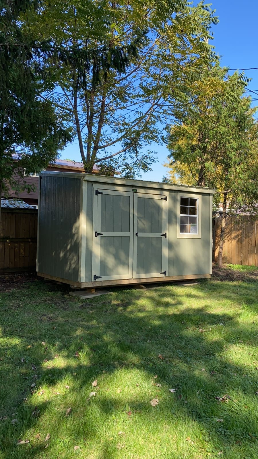 garden shed with door and window green